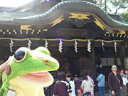 府中大國魂神社